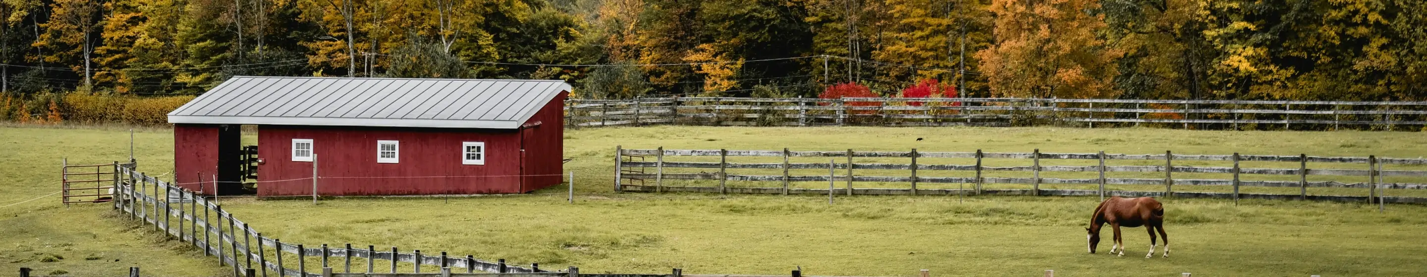 Safety Equipment Category Image