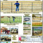 Affordable Livestock 2025