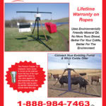Clews Palliser 1pg 2023
