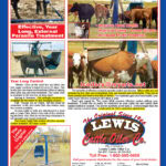 Lewis Pg. 2026 copy
