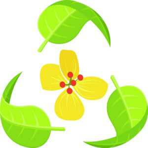 Prairie Energy Resources Ltd