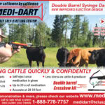 Medi Dart 1.2 2024