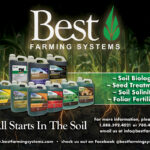 Best Half Page Ad_Late 2025