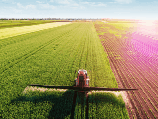 Crop Nutrition and Defence