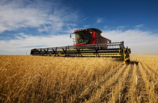 Harvesting & Hay Systems