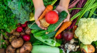 Fruit & Vegetable Equipment